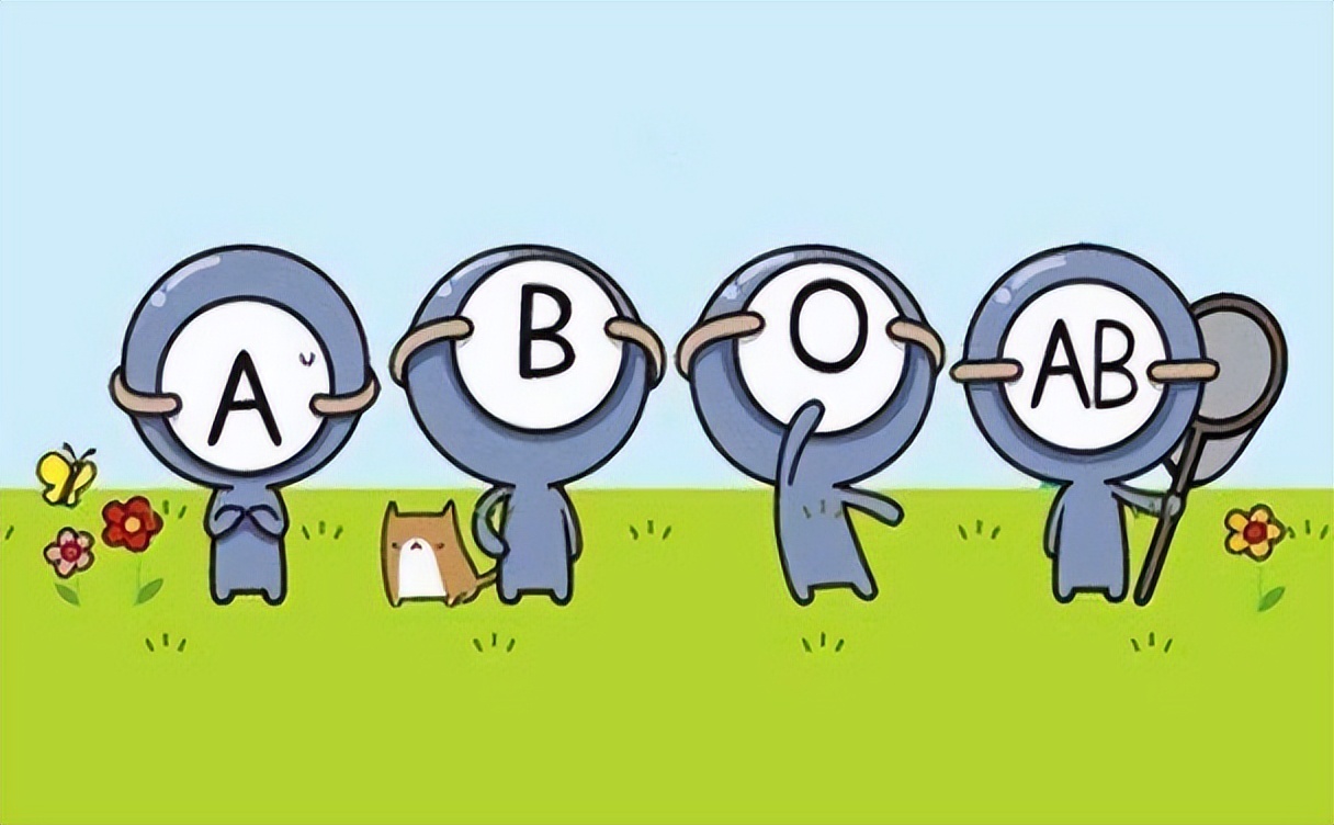 a型b型o型ab型哪种血型的人更长寿,血型a型b型o型ab型的依据是什么