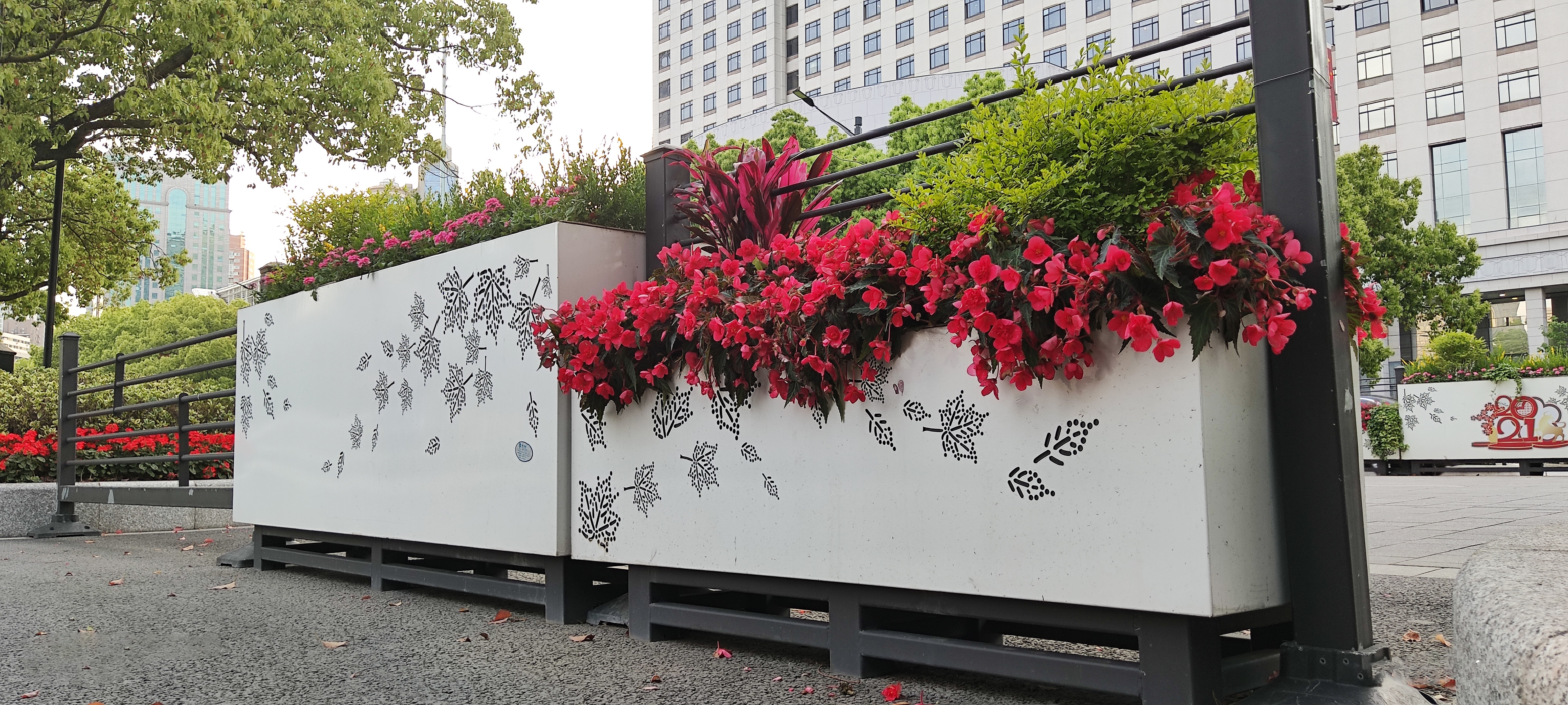 心怀感恩,春泥不语|上海市政道路提升