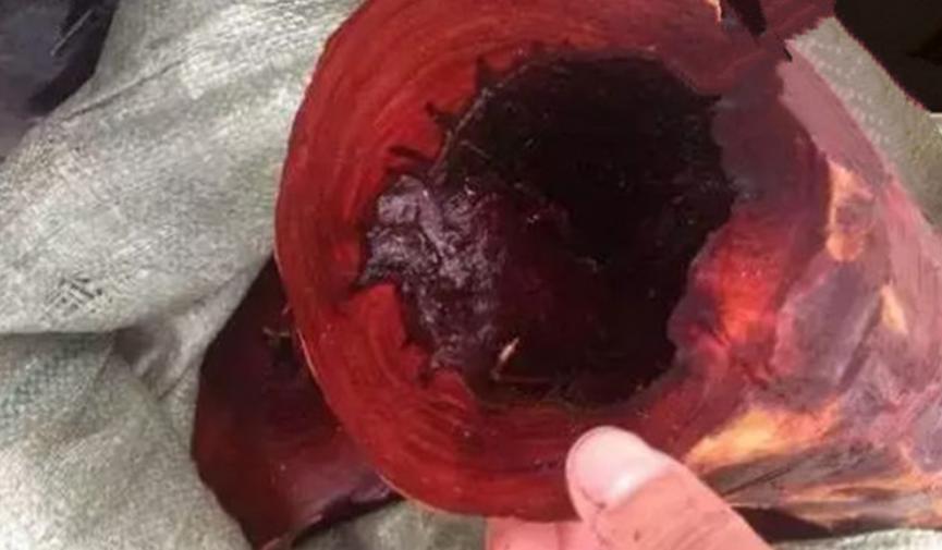 小叶紫檀小案上案,关于小叶紫檀的问答