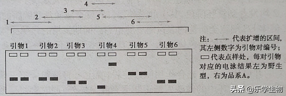 2024届高三生物模拟试题新高考,t8联考2022届第二次联考生物答案