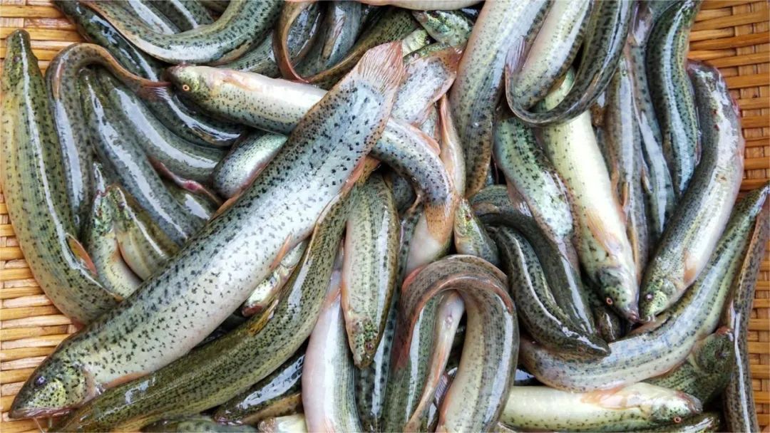 甲流二阳说明身体很差吗,甲流来得凶猛多吃4种食物