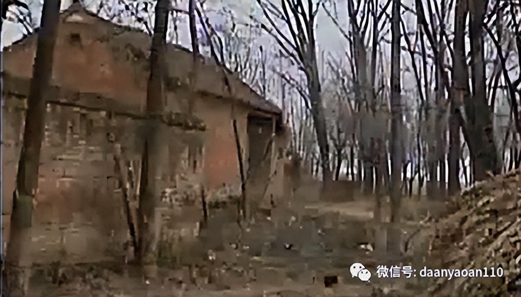 智能木马连环杀人案后续,智能木马连环杀