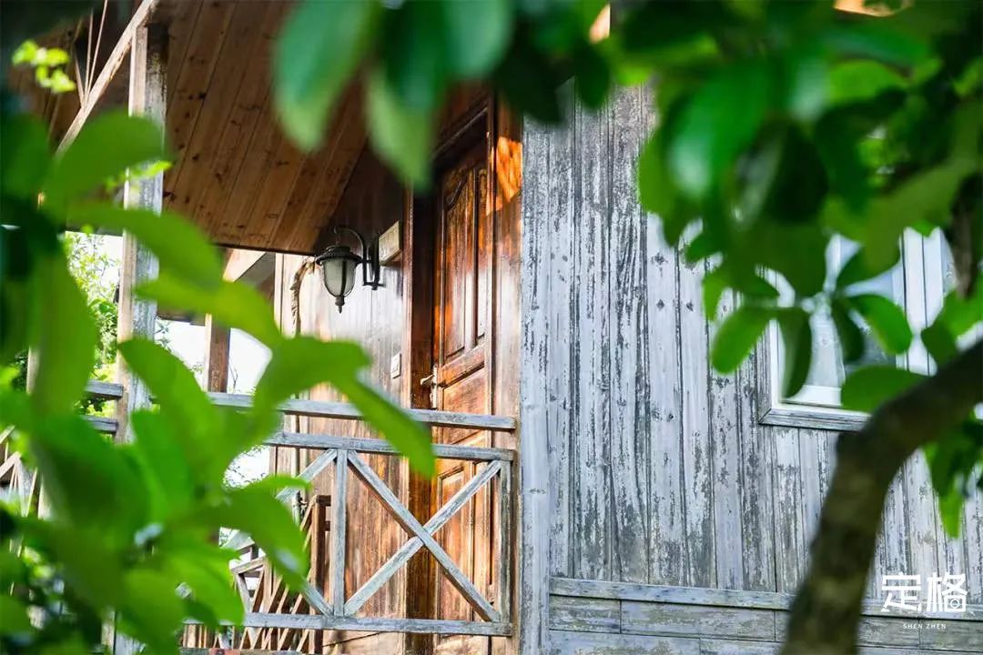 不用出国在深圳看到的美景,深圳有什么景点去看的不要钱的