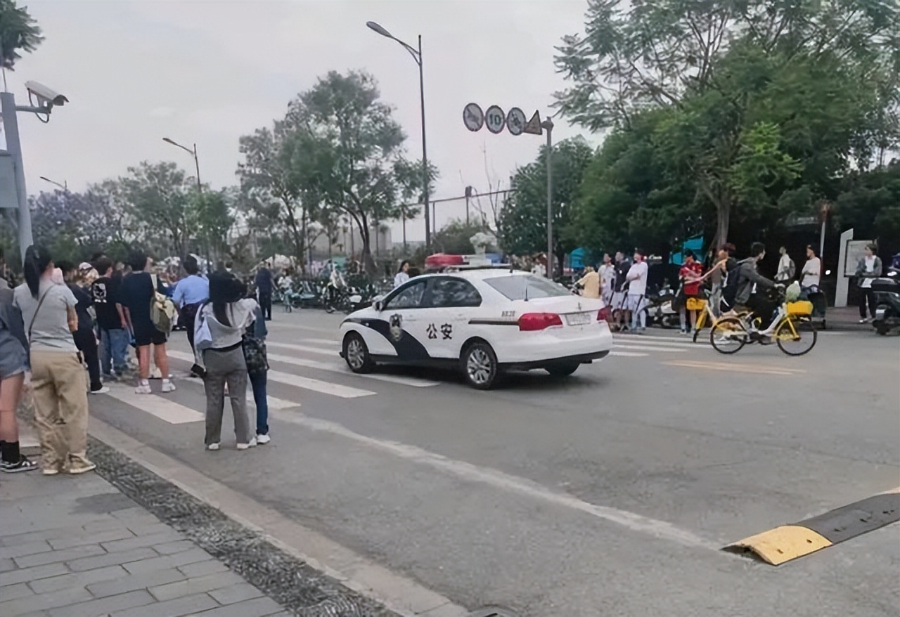 武校孩子被打死事件成都体育学院,成都体育学院学生打人后续处理