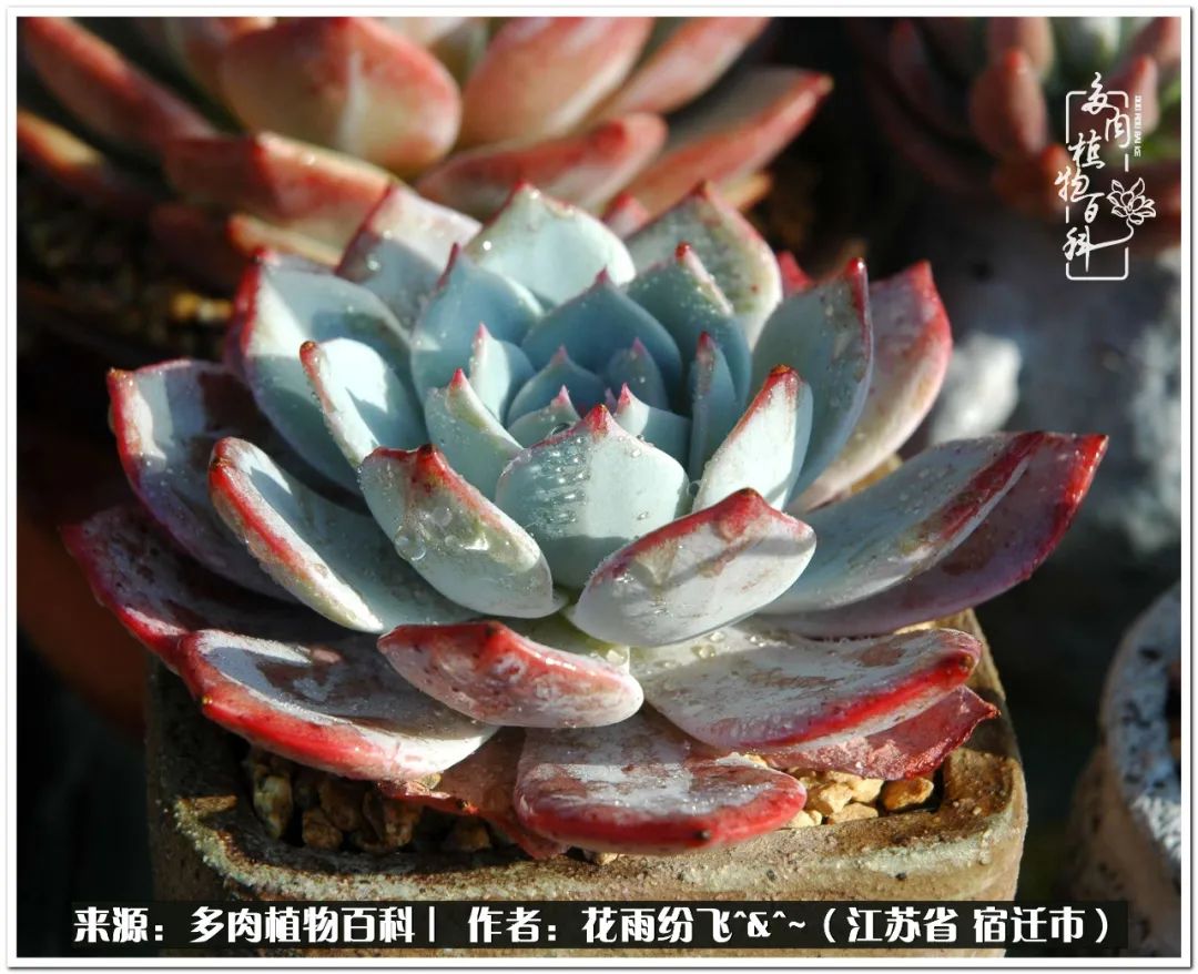 快乐的童年时光视频,回味快乐的童年美好的时光