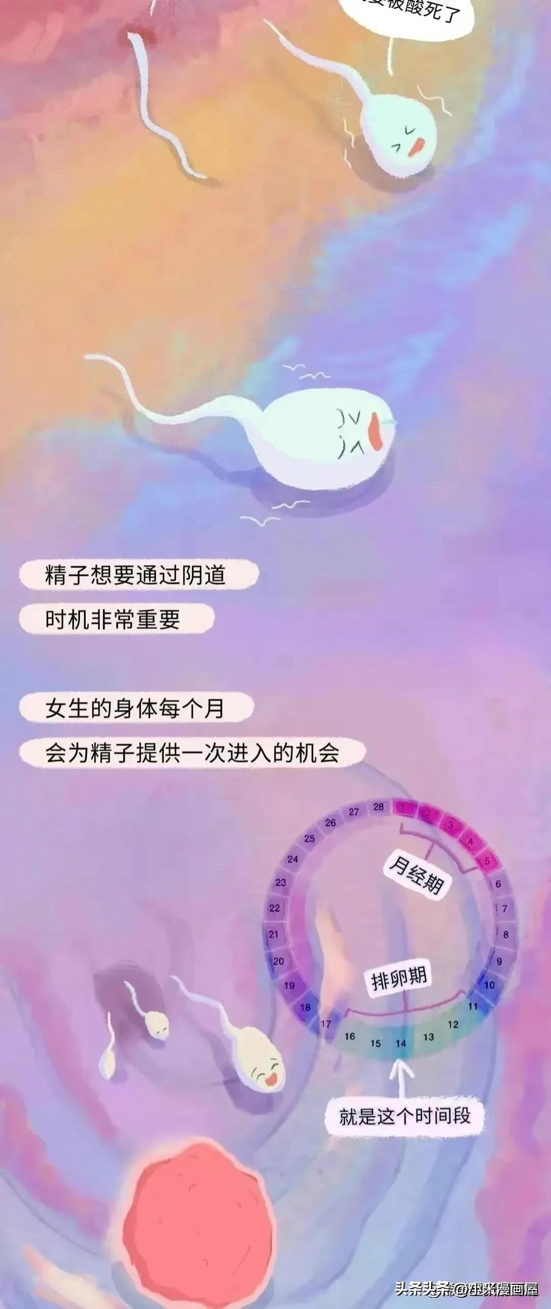 小蝌蚪找妈妈故事完整漫画,漫画中小蝌蚪是什么