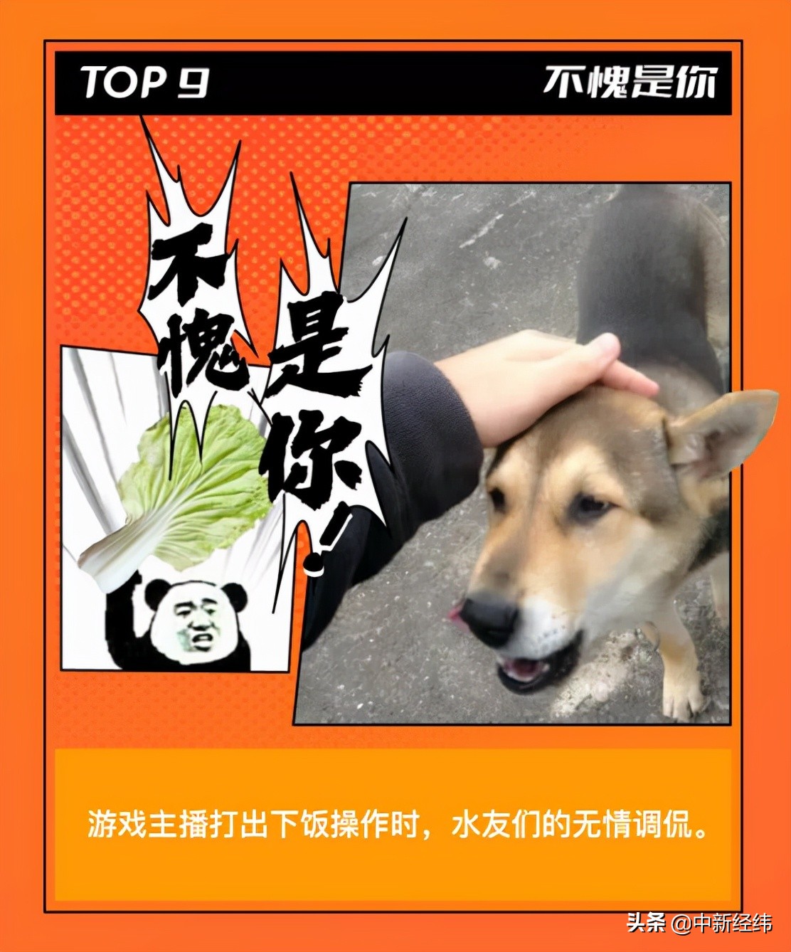 斗鱼弹幕103,斗鱼2021弹幕