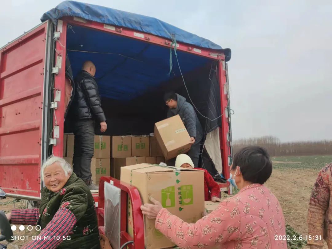 城市白领到年卖10万吨大蒜的女强人，河南杞县女老板林林如何做到