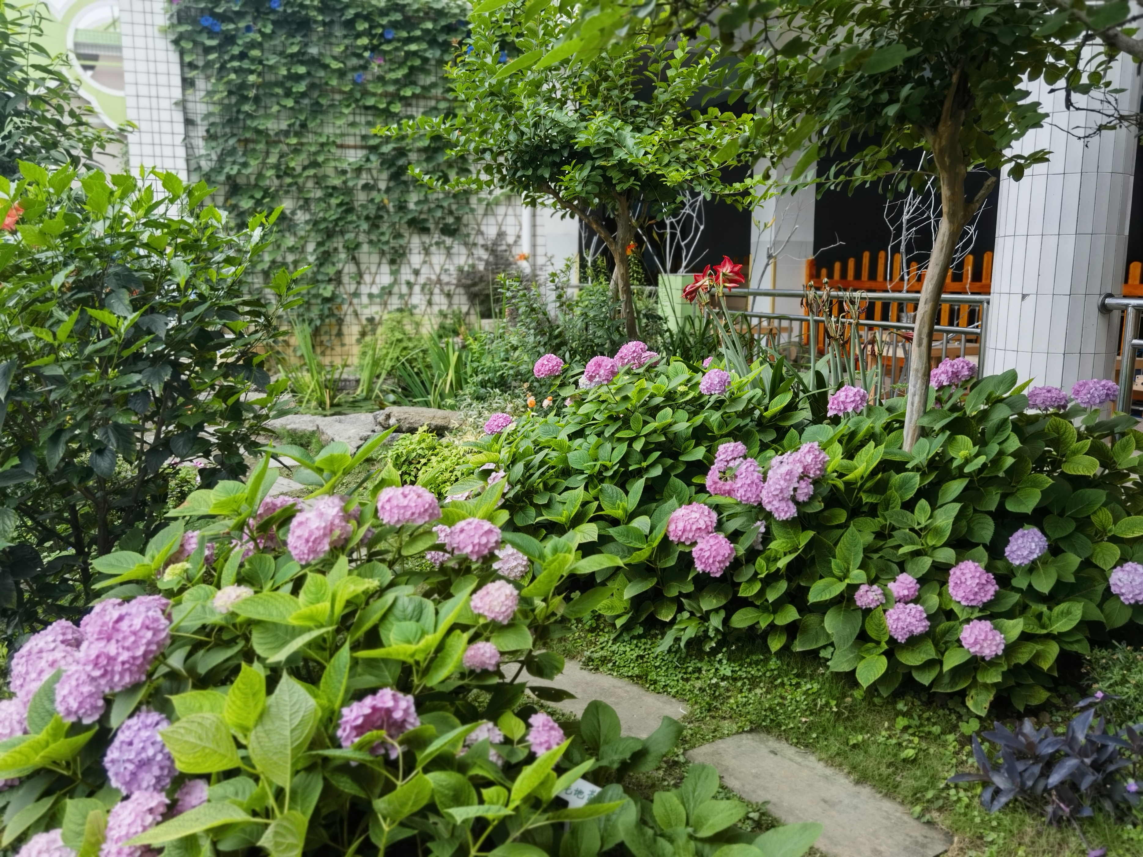 当古诗词遇上六一儿童节的浪漫,充满诗情画意的童年