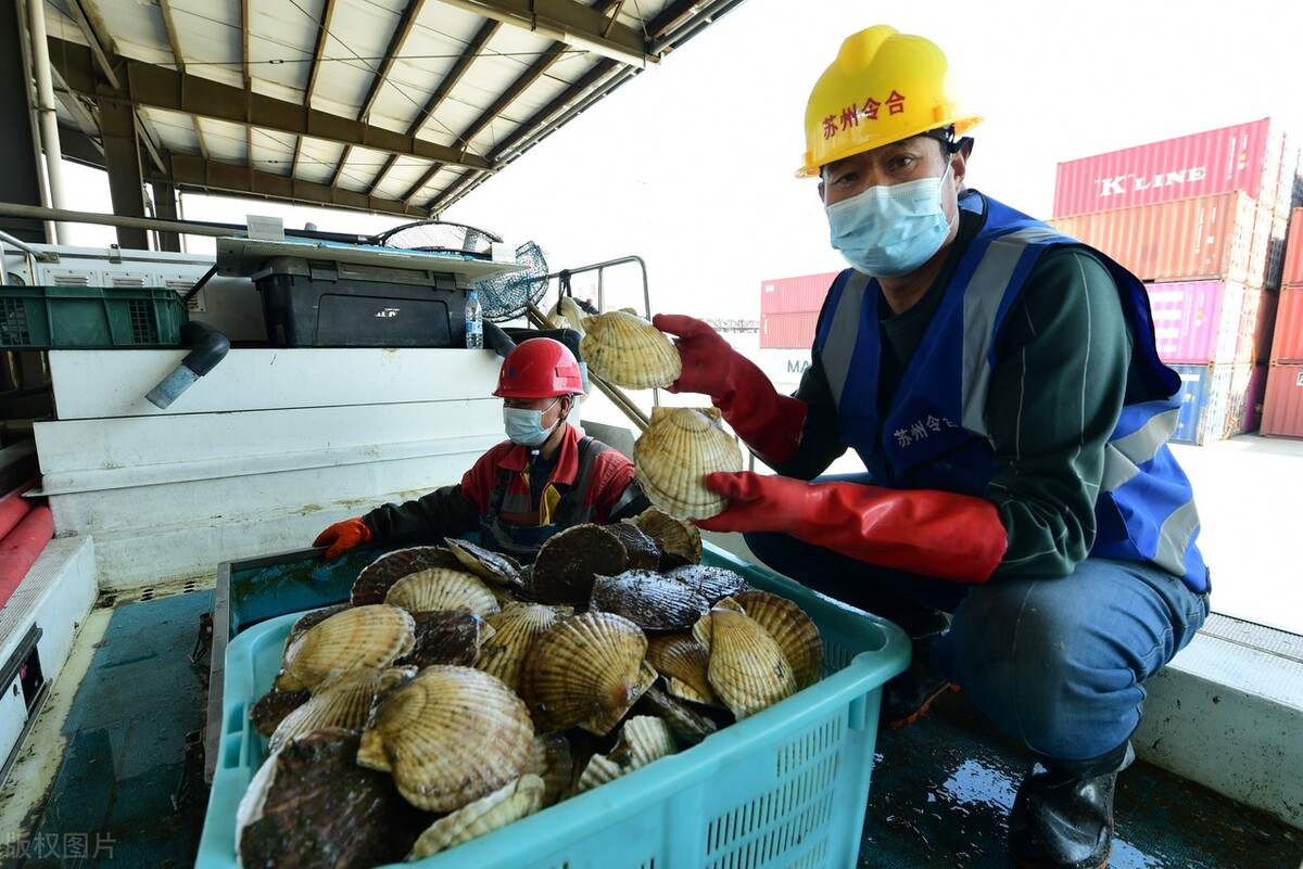 现在日本的海鲜中国还进口吗,日本海鲜进入中国的品种