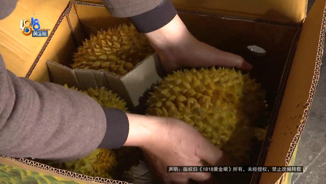 被骗打工被打视频,被骗又被打