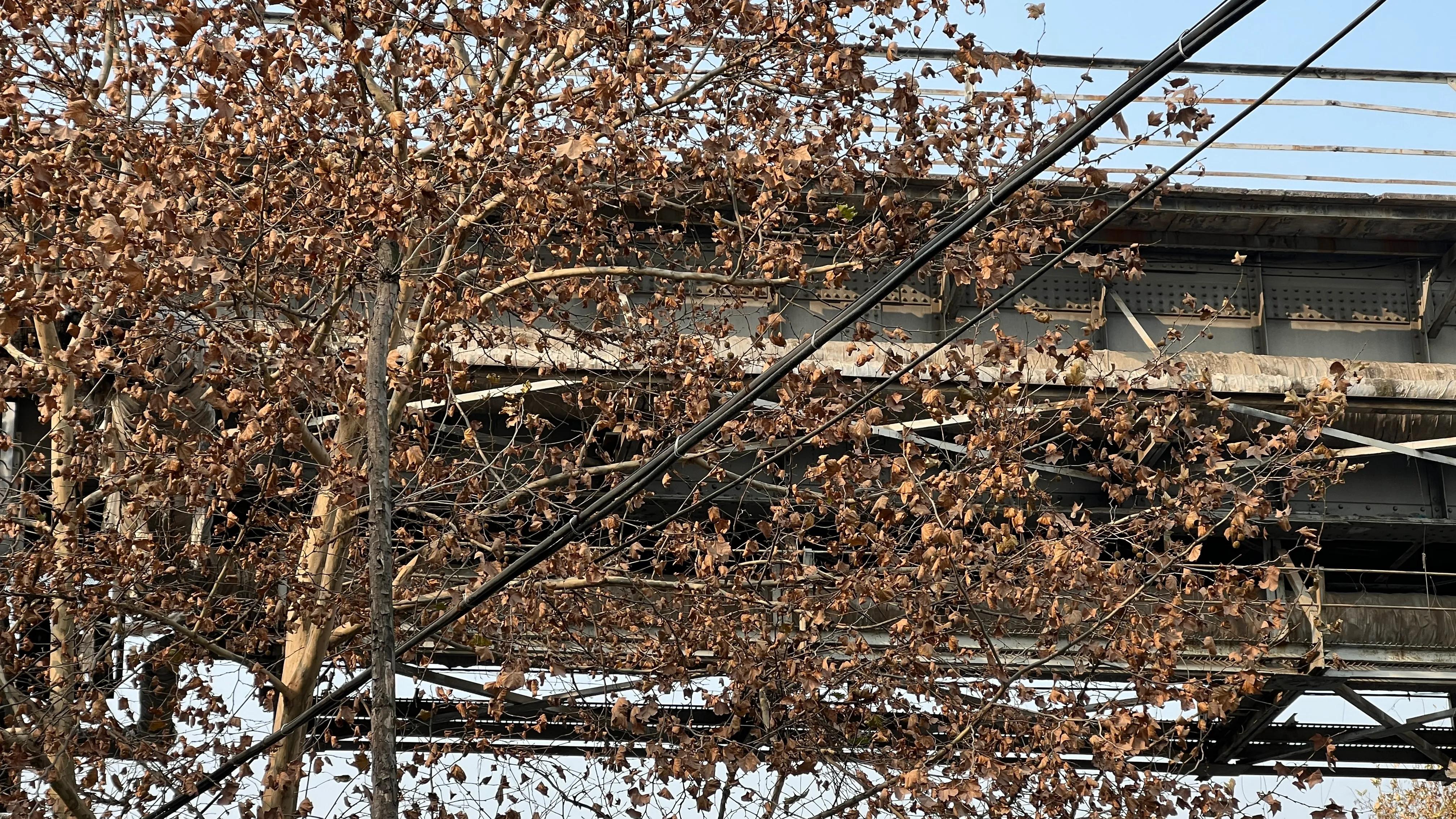 西安气候干燥还是潮湿,西安气候的优缺点