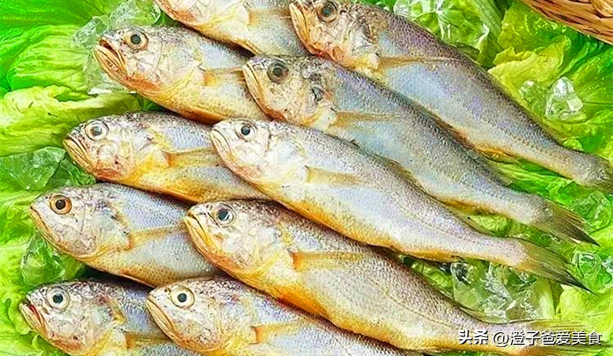 春季吃什么海鱼,海鱼最佳搭配