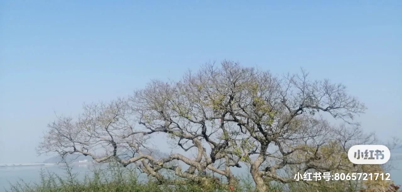 十大不起眼的赚钱行业,未来最赚钱的十大科技行业