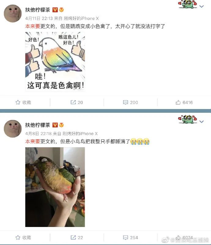 网文作者被爆马甲,网文作者搞笑事件