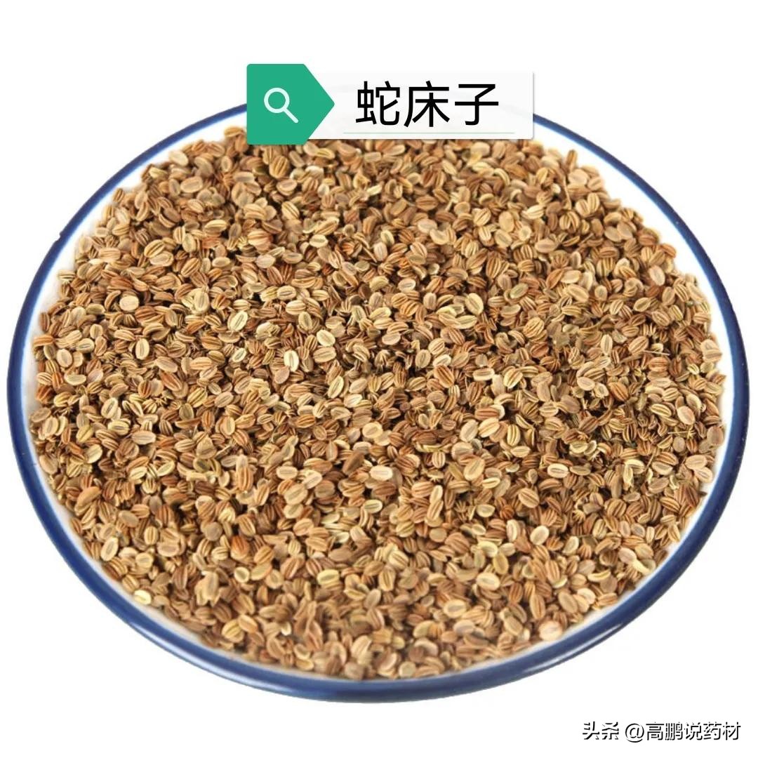 高鹏说药材:太子参、人参、柴胡、蛇床子、蒺藜等近期行情简析