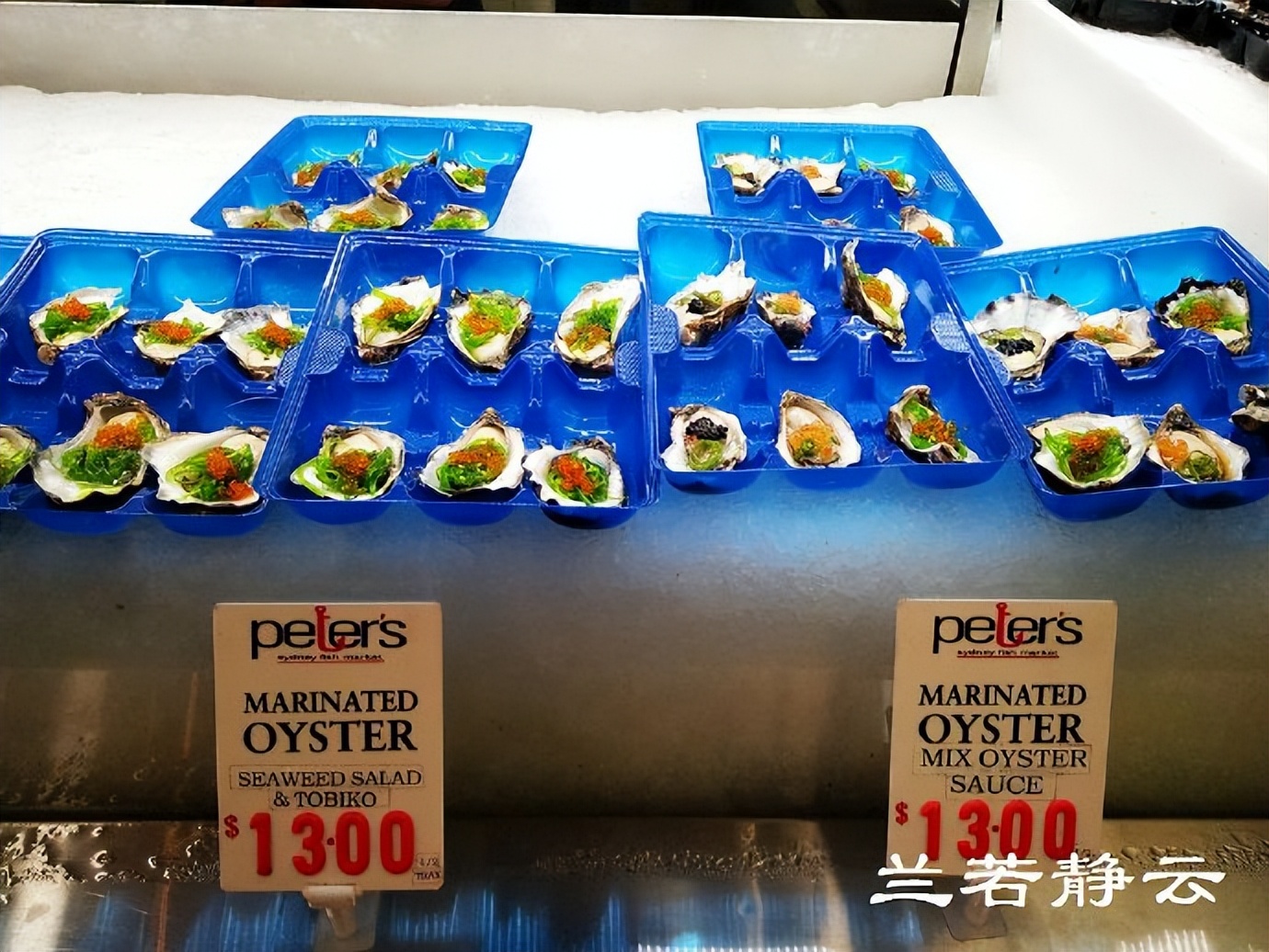 悉尼最大的海鲜鱼市场在哪里,海鲜市场澳洲龙虾