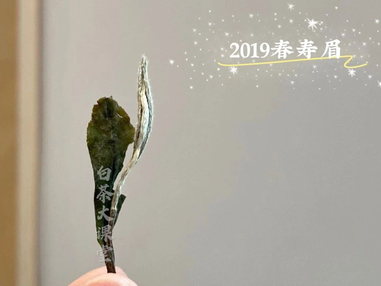 安吉白茶是六大茶类的白茶吗,六大茶类安吉白茶是什么