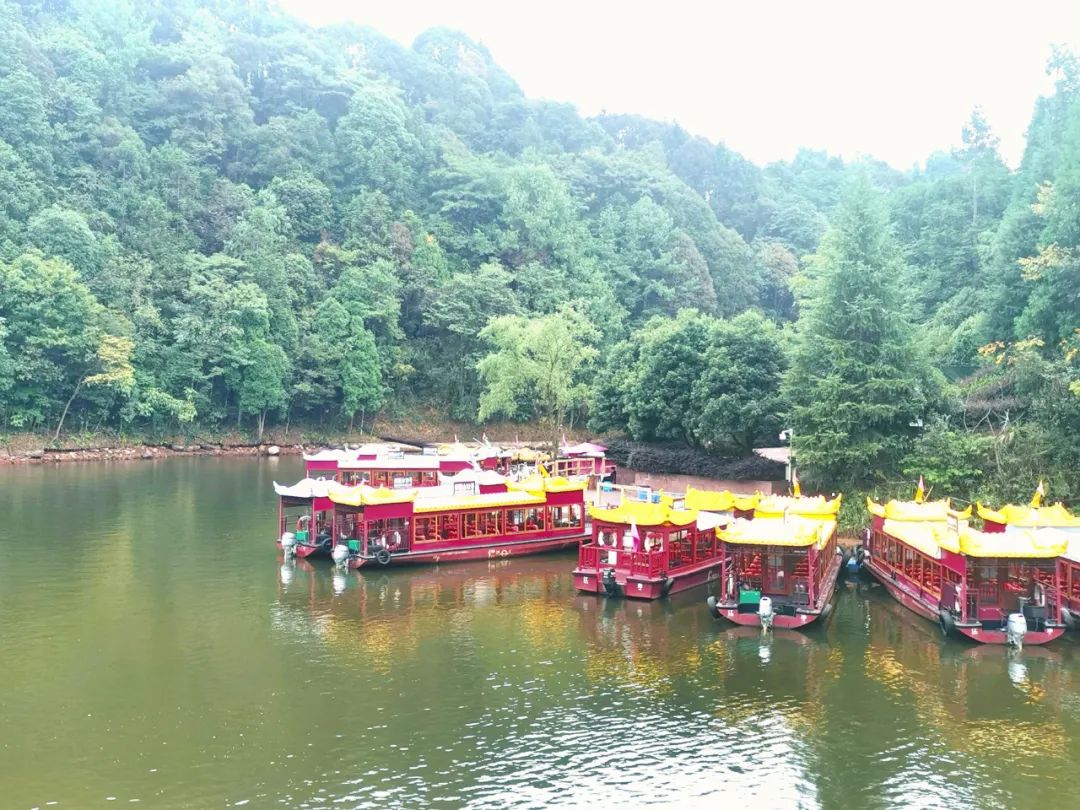 重庆江津旅游景点有哪些,重庆江津周围的景点