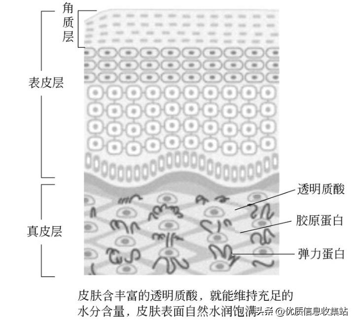 护肤书单爆款,美容化妆品书籍
