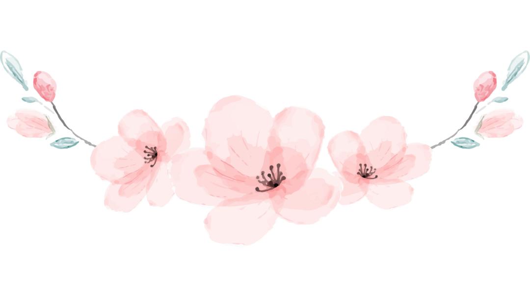 雨樱也浪漫！浙工大美美美！