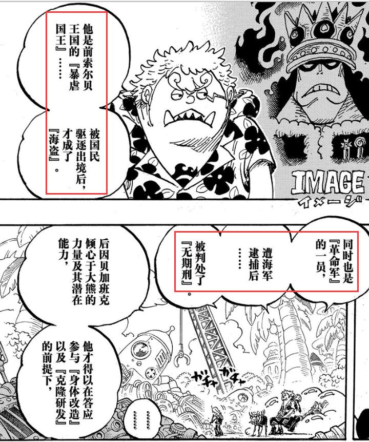 「流星电台」海贼王10641065分析-高质量解读