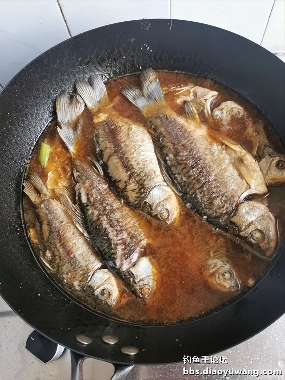 天气变冷怎么钓板鲫,温度升高钓鲢鳙