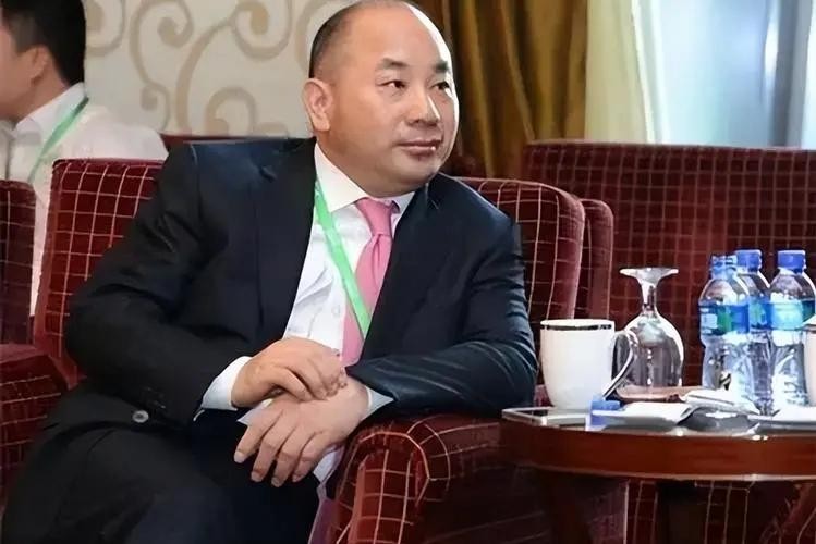 中国真正的“隐形首富”：手握全球十万亿矿产，一年进账达6919亿