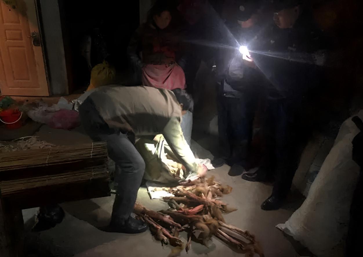 捕杀黄鼠狼违法吗,捕杀黄鼠狼怎么处罚