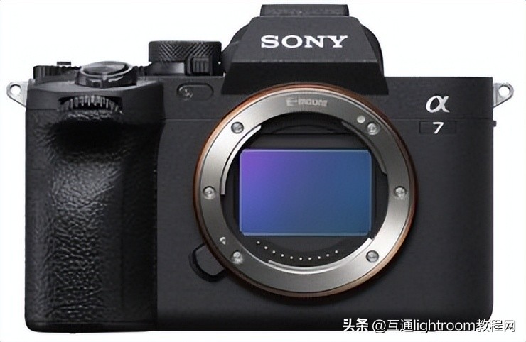 大变焦数码相机拍摄鸟类,最佳风光摄影相机推荐