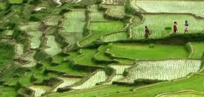 尼泊尔高山集市,尼泊尔被称为高山之国