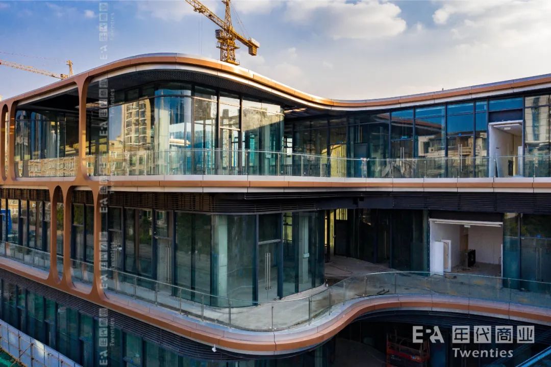 鸽王争霸,鸽王争霸赛开幕