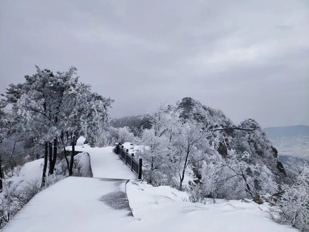 雪落成白墨影成殇,零落成妆