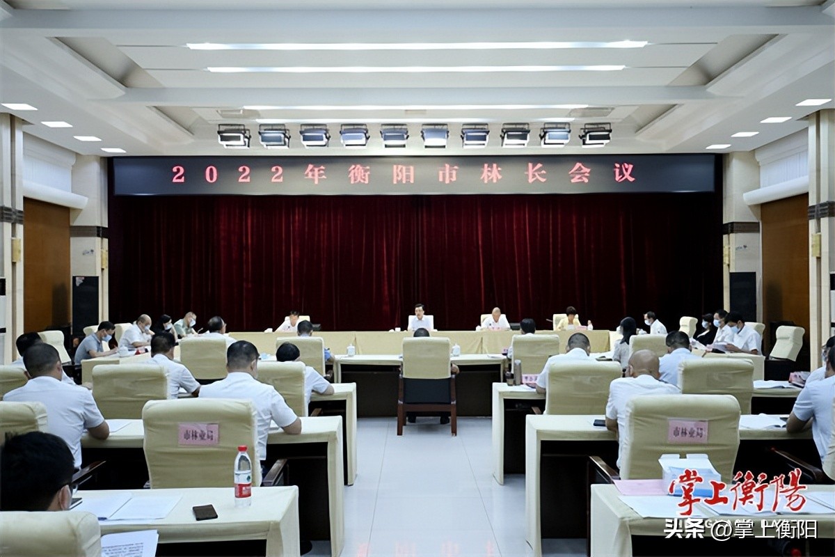 衡阳市新闻报道视频,衡阳快讯新闻