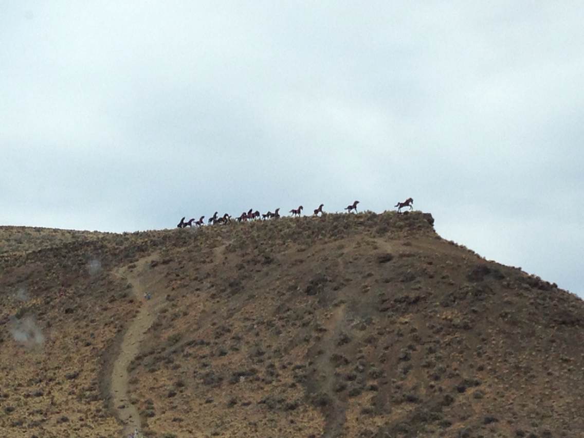 多伦多猴哥园丁视频最新一期,多伦多园丁猴嫂最新视频