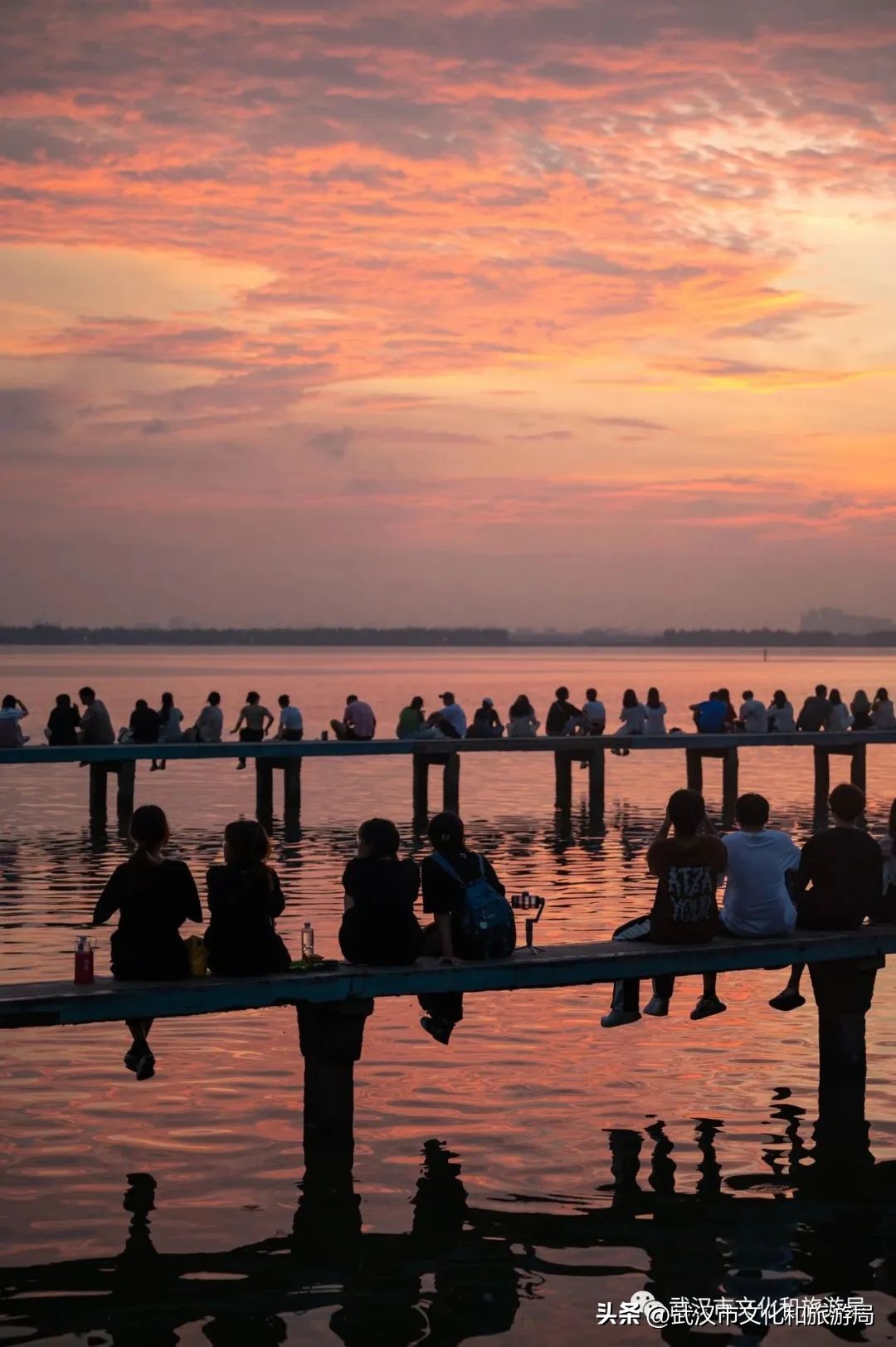 来武汉一定要去一趟东湖看荷花,来武汉看樱花吧