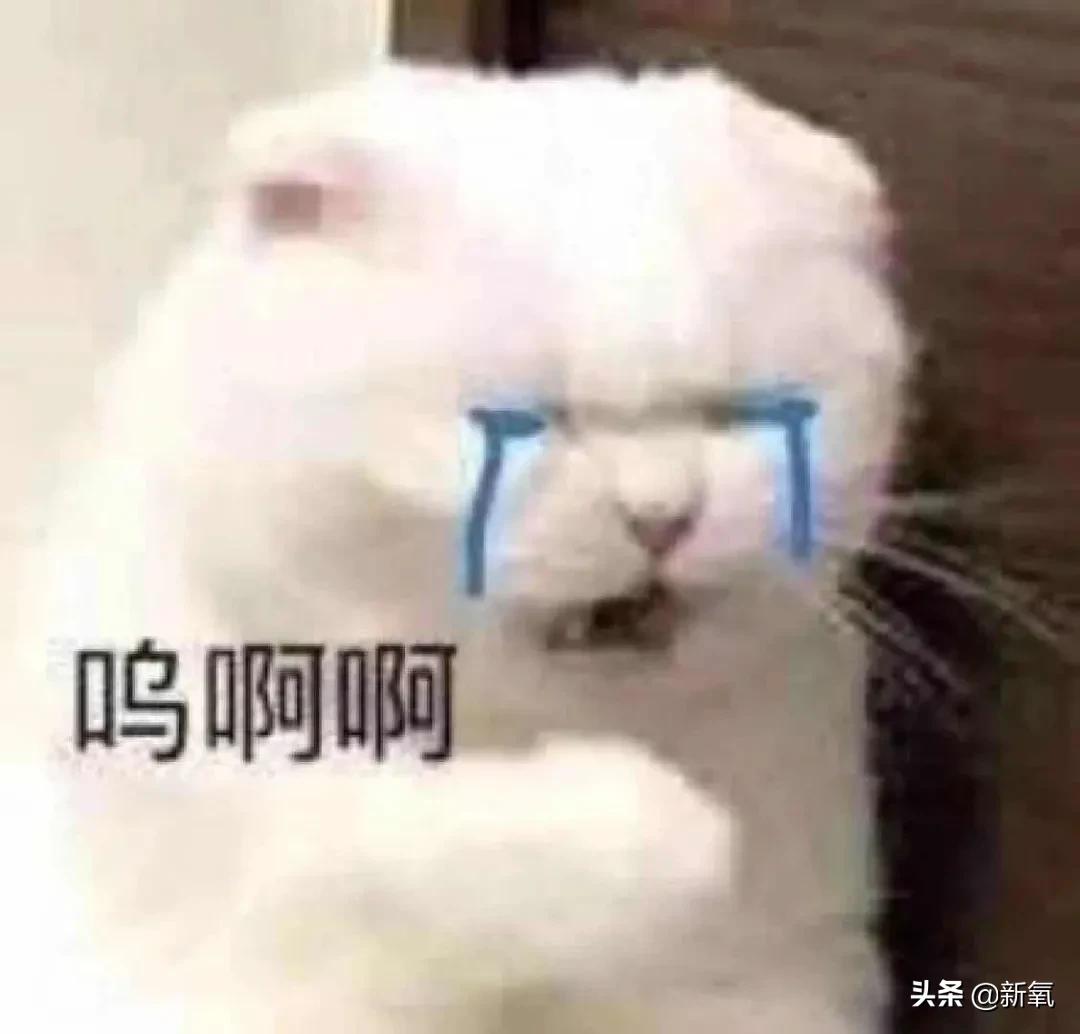 虽然知道她对丰唇很执着，但美女不要再乱折腾了