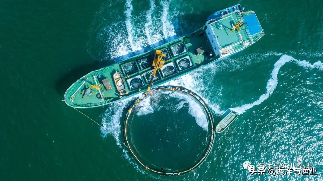 深海养殖网箱加盟,投资深海养鱼前景如何
