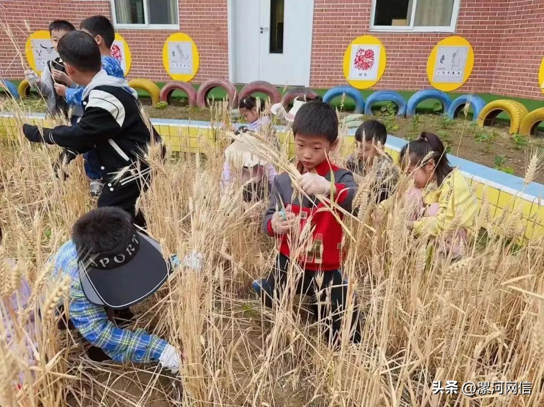 漯河学校不准提前开学,漯河教育最新通知