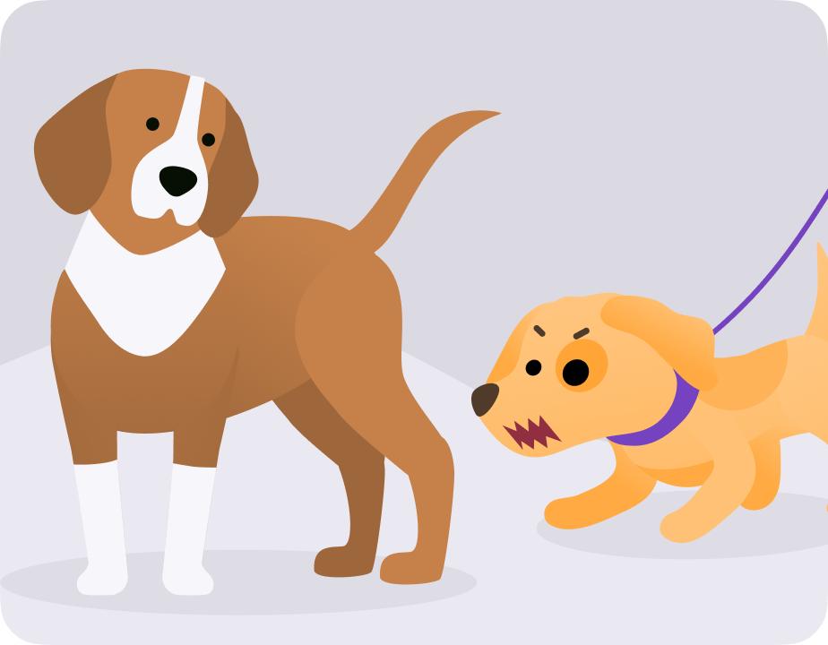 怎么阻止狗撕咬,怎么防止自己狗打架