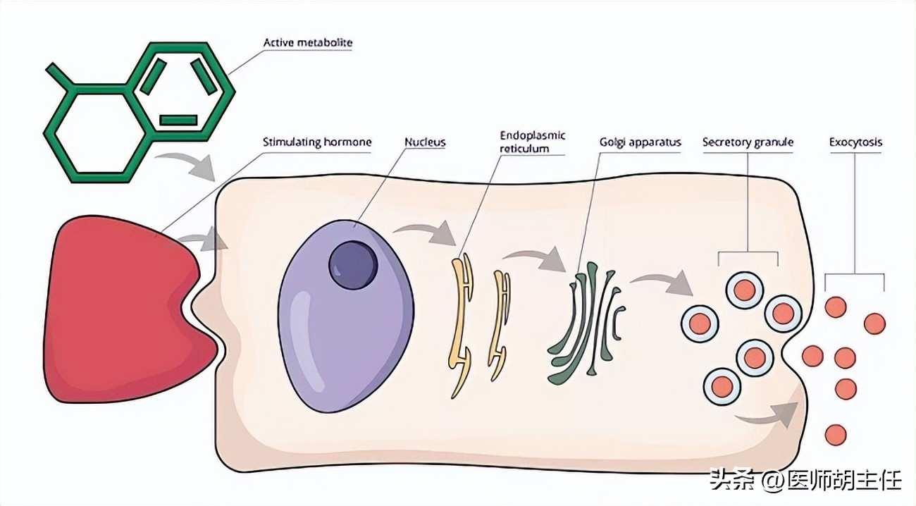 中老年人补充叶酸哪种牌子好,中老年白发补充叶酸有用吗