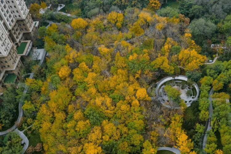 为什么豪宅都是精装修,为什么顶级豪宅只有40年产权