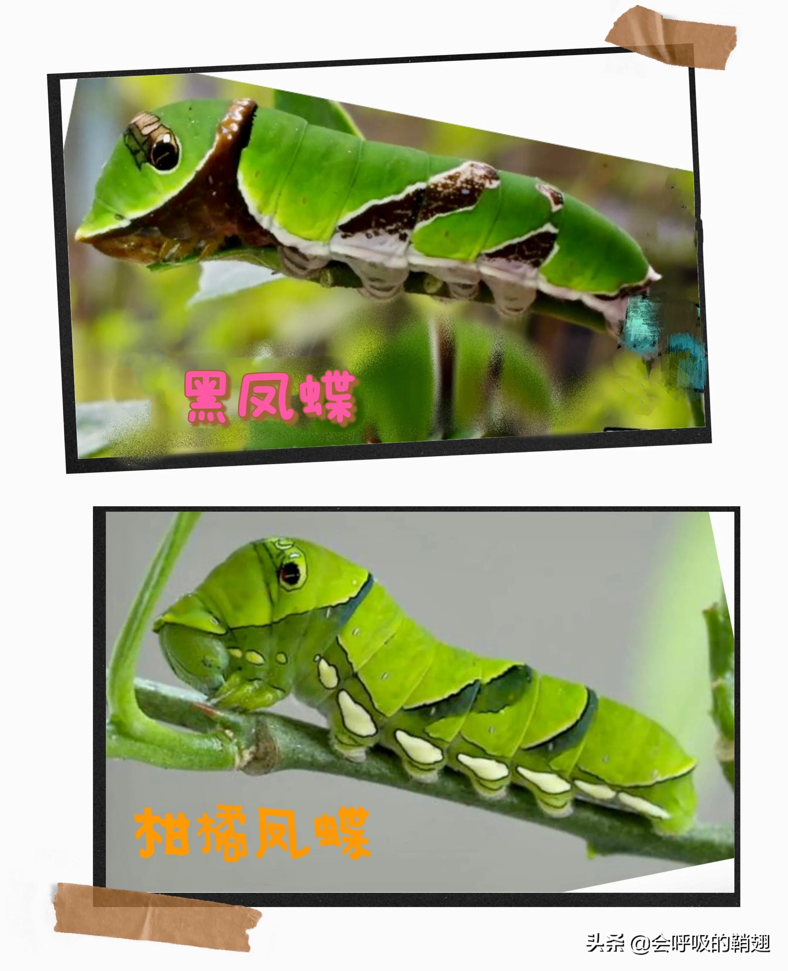 5个月的等待,经过5个多月的漫长等待