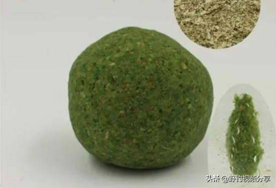 水里有小虫子就钓不到鱼怎么回事,水里有鱼为什么就是钓不到