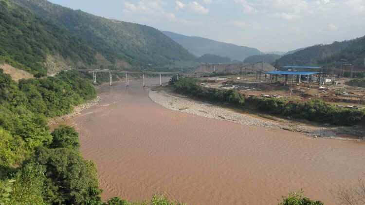 鸡窝真能飞出“凤凰”！安徽居民家中惊现大鸟，专家竟认错物种？