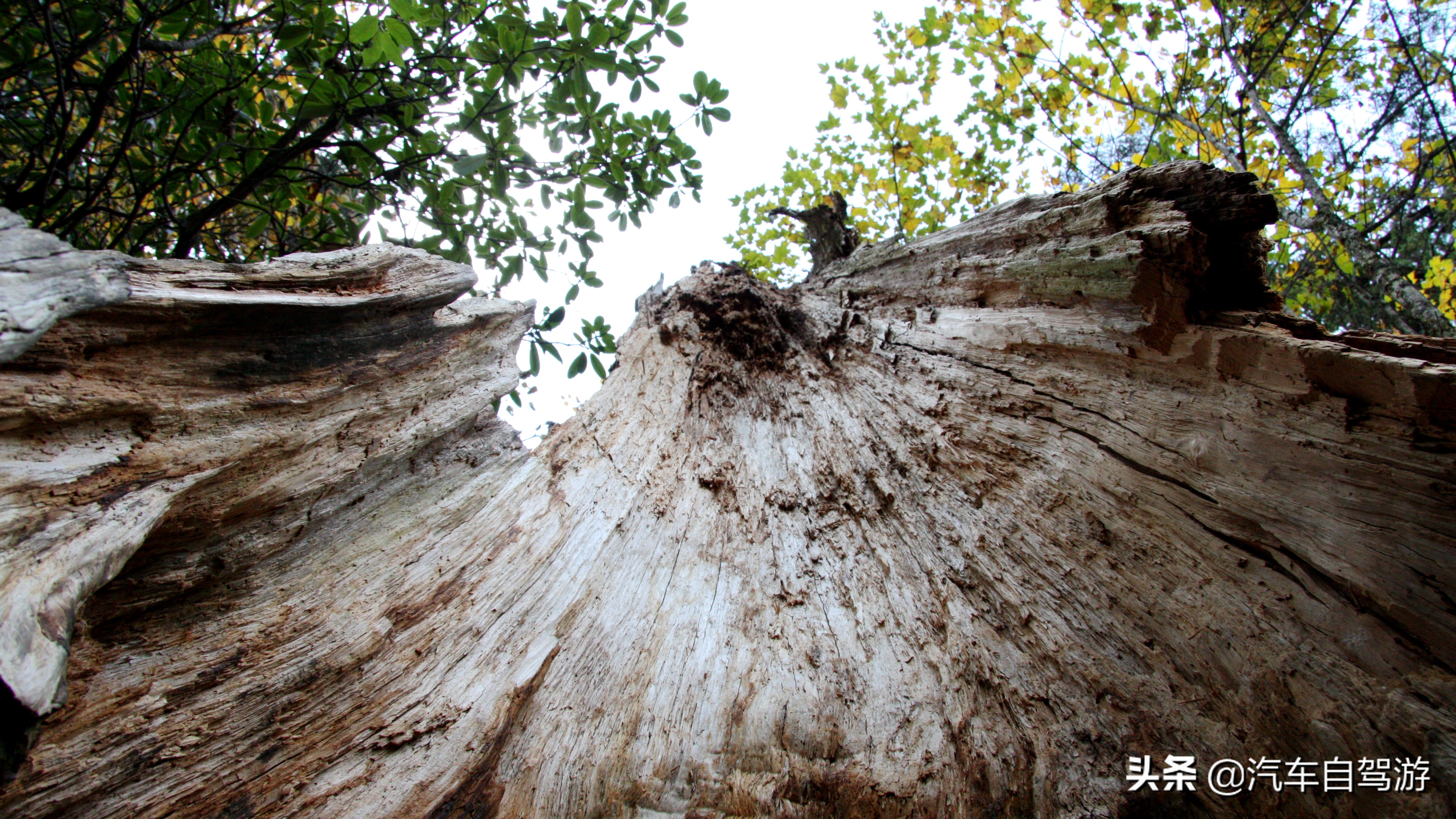 海螺沟5天自驾游路线推荐,海螺沟旅游攻略自驾游路线推荐