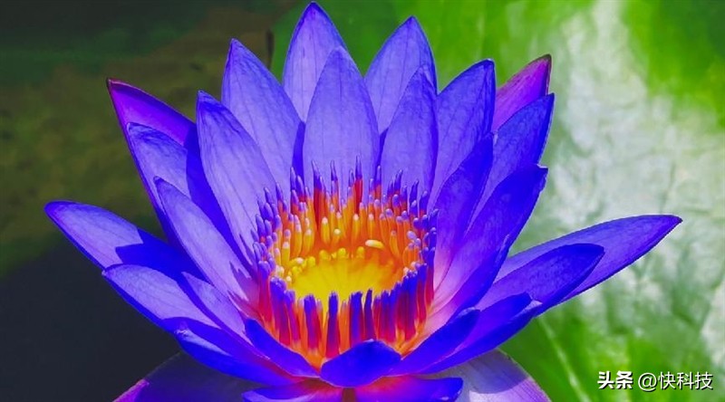 当贝f3最新投影,4000以内画质最好的投影仪