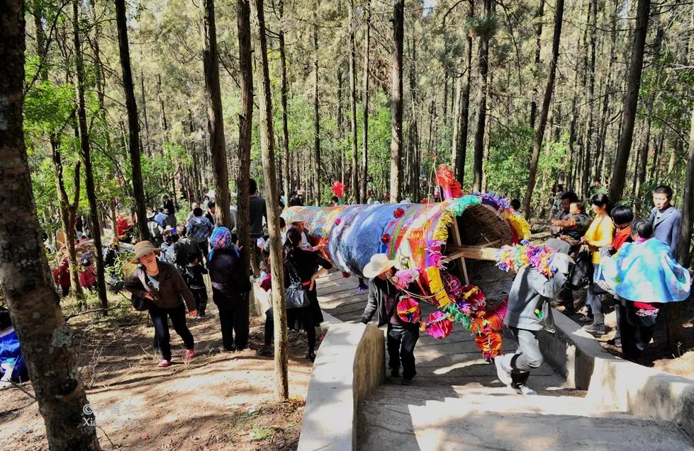 阳宗高铁站什么时候投入使用,阳宗为什么要修高铁站