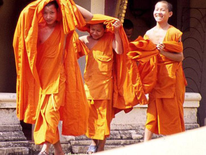 为什么国外都卖藏红花,为什么藏红花有贵有便宜