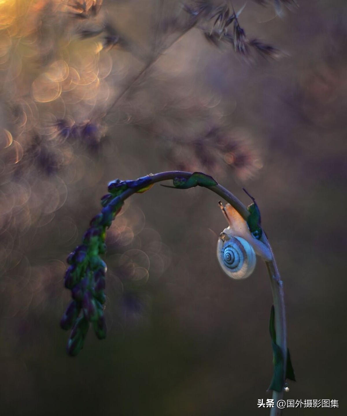 最美的景色秋天照片高清,夏天和秋天的绝美照片